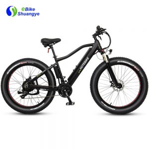 Fat ebike 750w 48V 60V 13AH velo electrique electric motorcycles