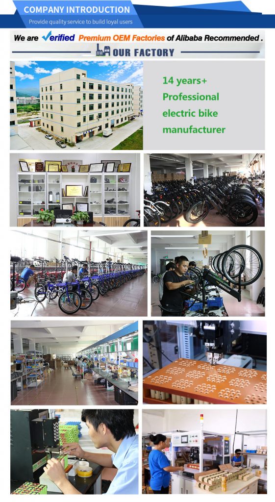 36V intelligent brushless aluminum cheap electric mountain bike china bicycle near me - electric mountain bike - 7