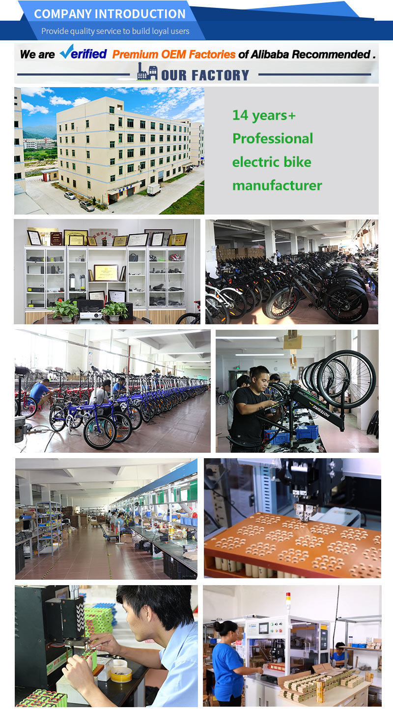 OEM Manufacturer wholesale 36v 350w motor folding electric bicycle - electric mountain bike - 1