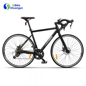 48V 18 speeds hidden battery electric road bike