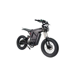 hot selling electric cruiser motorcycle Lithium Battery Off-Road Electric Motorcycle All Terrain Motorbikes