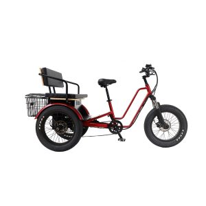 long range tricycle electric bike passenger electric trike 750w 3 wheels electric bike with pedal
