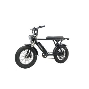 High Power Electric Bicycle 1000w 48v E Bike Electric Motorcycle 7 Speed Electric Charging Bikes