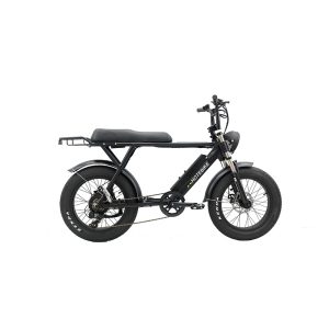Fat Tire Electric Bike 20 Inch 750W Lithium Snow Off Road Ebike All Terrain Mountain Bicycle Adults 7 Speed Gears