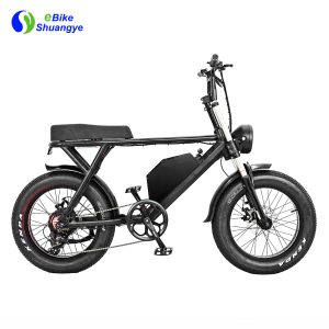 High Power Electric Dirt Bike Bicycle 1000w 48v Fat Tire Electric Bike 750w 7 Speed Hydraulic Brake E-bike