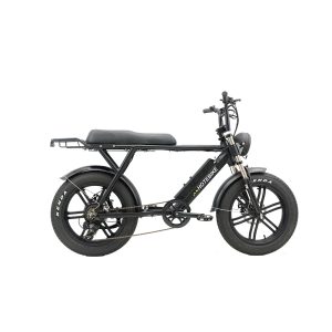 High Power E-bike Motorcycle 1000w 48v Lithium Battery Ebike 7 Speed Bicycles Electric Bikes