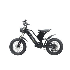 High Power 48V 750W 1000w Electric Bike 20 Inch 73 Super Dual Motor Full Suspension 7 Speed Electric Motorcycle