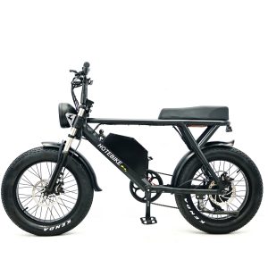 Fat Tire E Bike Mountain Road Ebike 500W 750W E Bike Fat Electric Bicycle for Super Retro Ebike 73